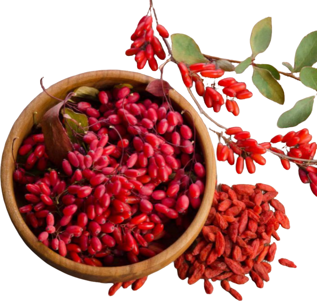 Berberine