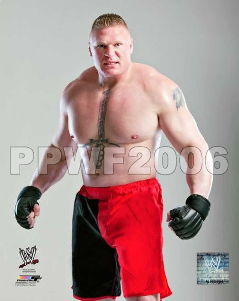 WWE BROCK LESNAR OFFICIAL LICENSED 8X10 WRESTLING Photo Poster paintingFILE Photo Poster painting 2