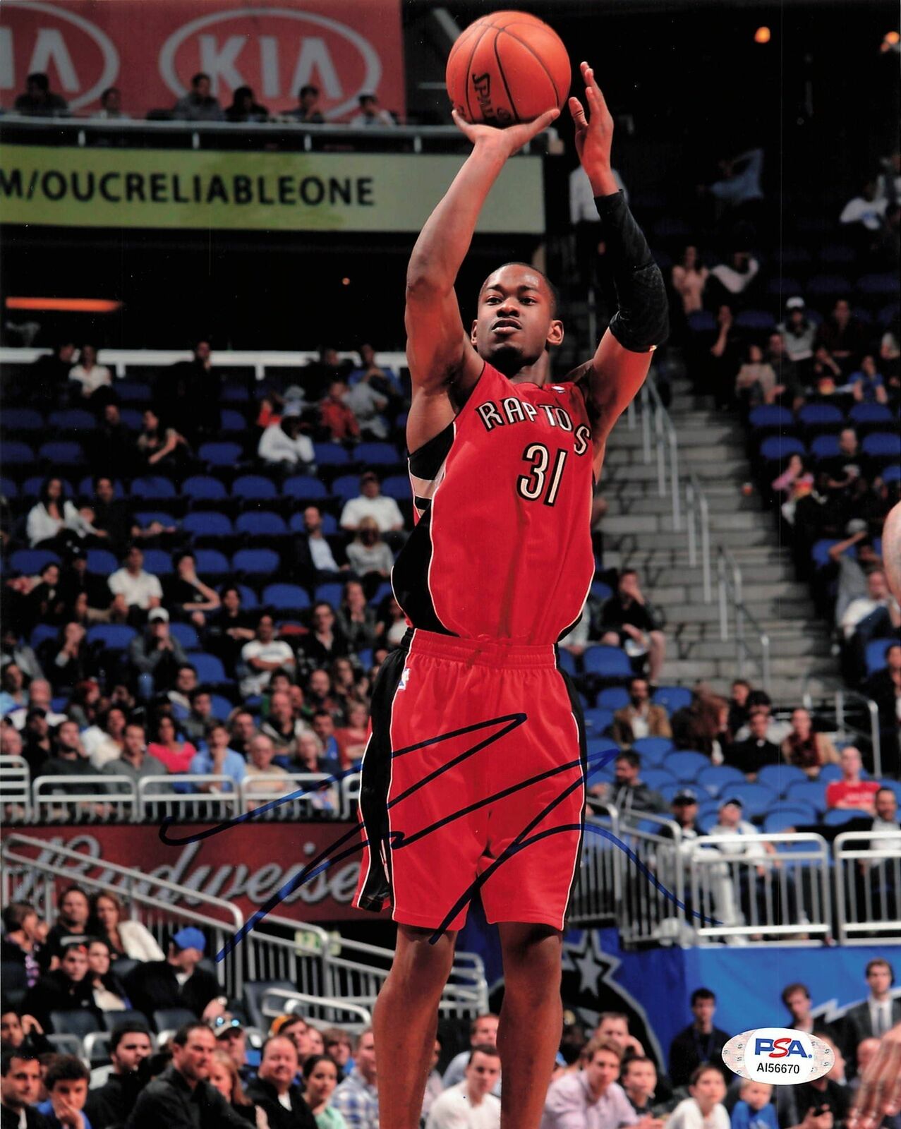 Terrence Ross signed 8x10 Photo Poster painting PSA/DNA Toronto Raptors Autographed