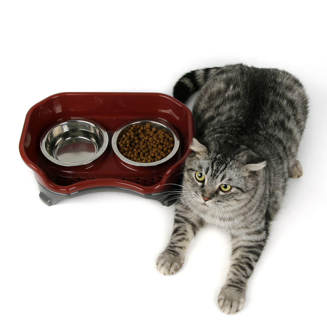 Spill Proof Double Layer Elevated Pet Bowl