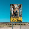 California - Car License - 30*15cm