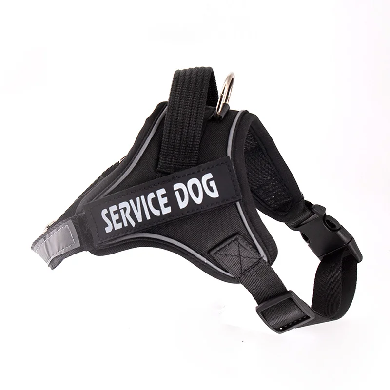 Personalized Dog Harness No Pull With Leash