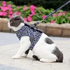 Gilet con imbracatura e guinzaglio per gatto, adatto per passeggiate all'aperto