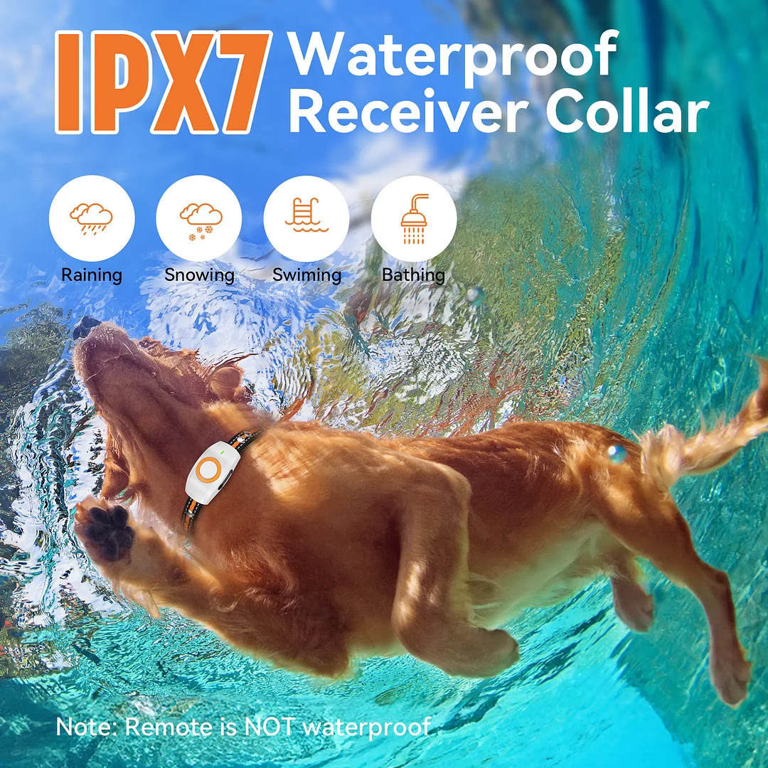 MAXLAPTER 3 Modes Dog Training Collar，IPX7 Waterproof White Rechargeable Shock Collar for Two Dogs，2624ft Long Range Remote Control