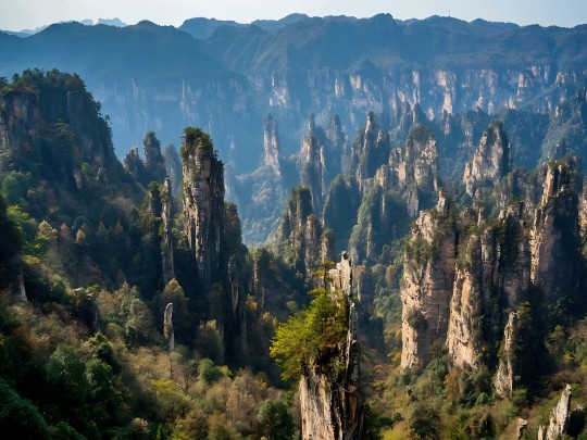 11 Days Beijing-Xian-Zhangjiajie-Shanghai Group Tour