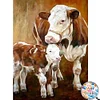Cow - Round/Square AB Drills Diamond Painting(35*45cm)