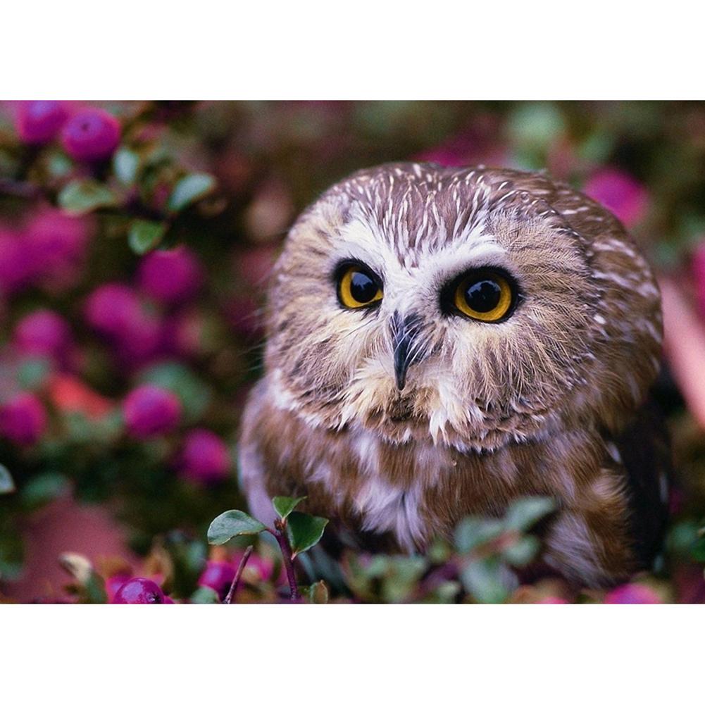 

Night Bird - Round Drill Diamond Painting - 30*40CM, 501 Original