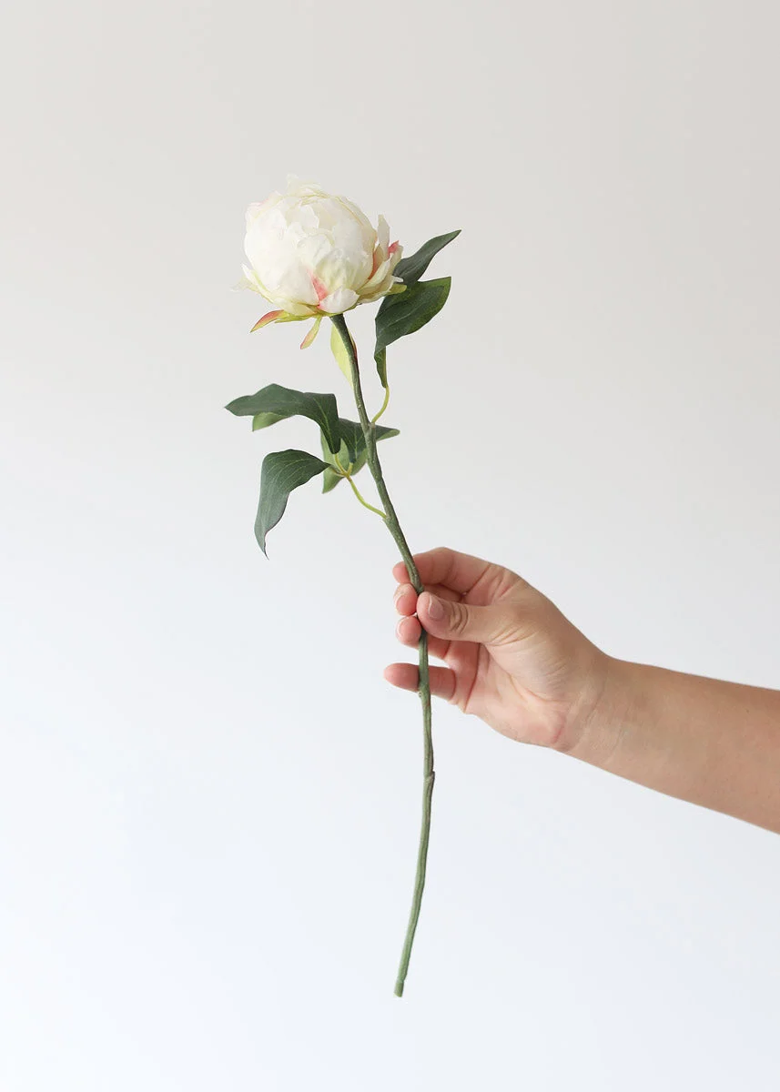 Artificial Flower Peony Bud in Cream - 18"