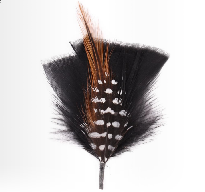 Hat Feather one L