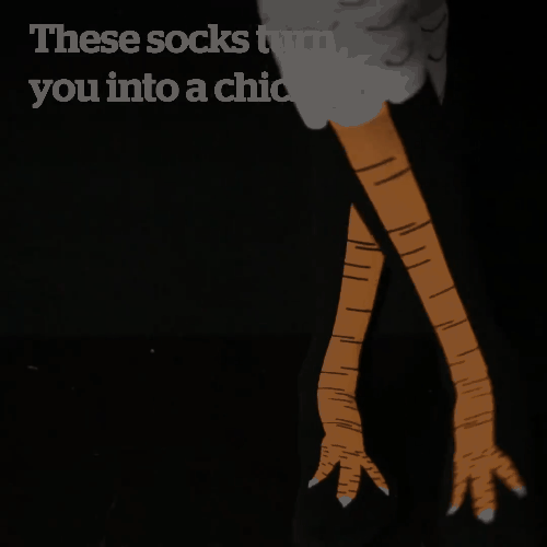 Image result for Original Chicken Legs Socks