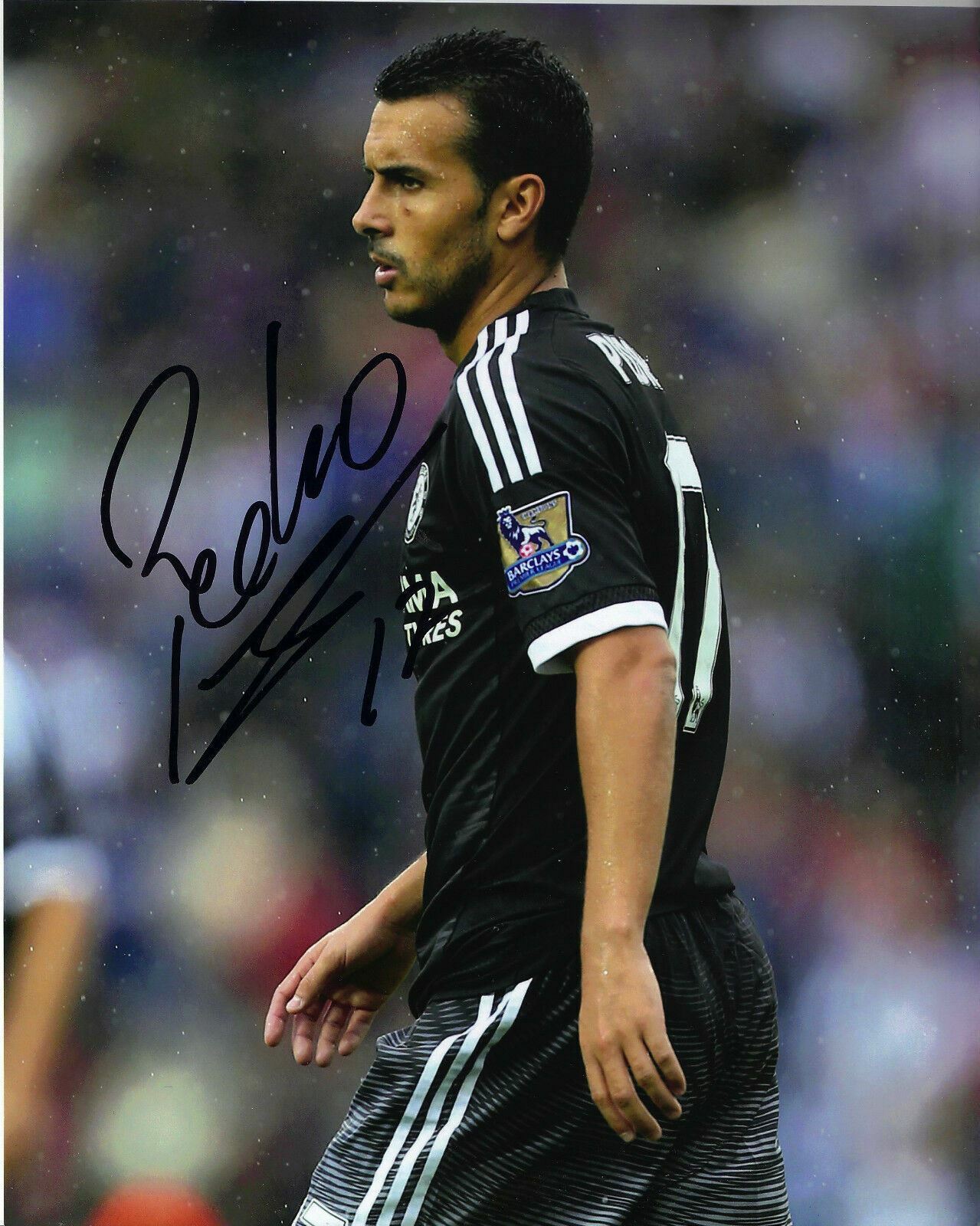 Pedro Signed 10X8 Photo Poster painting Chelsea F.C. GENUINE Autograph AFTAL COA (1250)