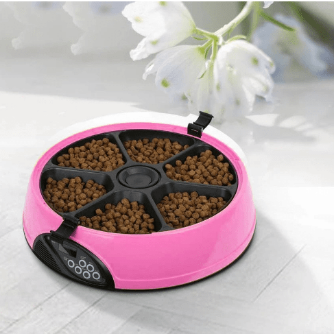 Pet Automatic 6-Meal Feeder