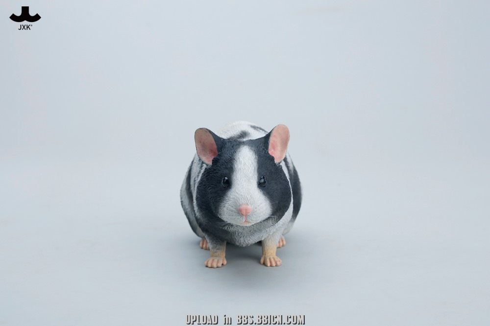 JXK-1/1House mouse-JXK355A/B-
