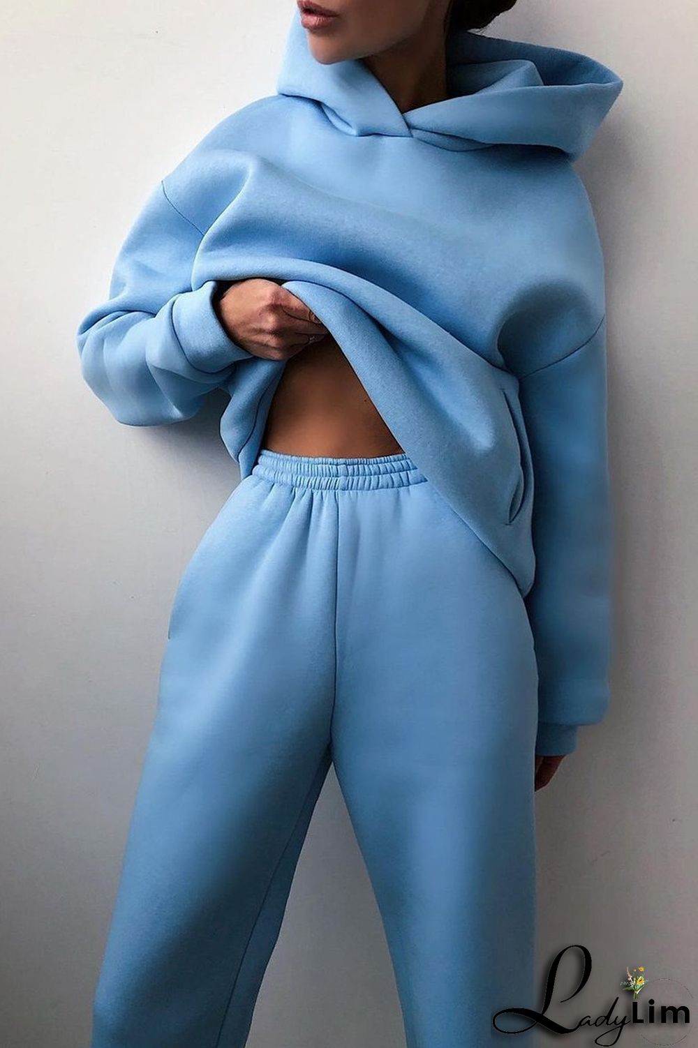 Purple Fashion Casual Solid Basic Hooded Collar Long Sleeve Two Pieces