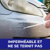 Stylo &agrave; Peinture de Retouche pour Automobile
