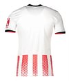 Joyfball 2025/2026 Freiburg Home Football Jersey 1:1 Thai Quality