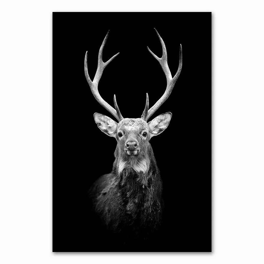 Canvas Painting Animal Wall Art Lion Elephant Deer Zebra Posters and Prints Wall Pictures for Living Room Decoration Home Decor