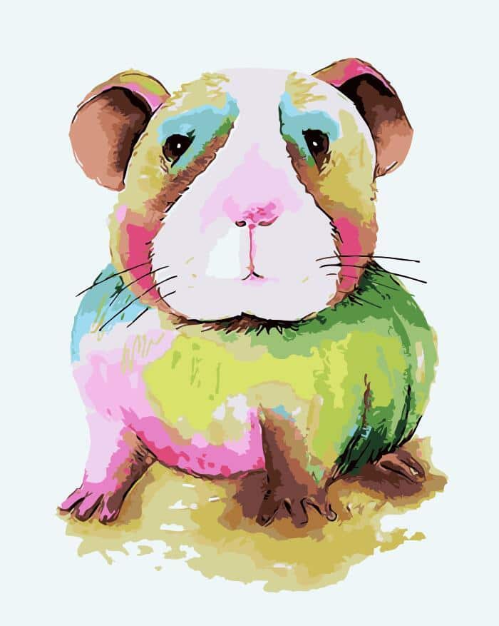 

Guinea Pig – Paint By Numbers - 40*50CM, 501 Original