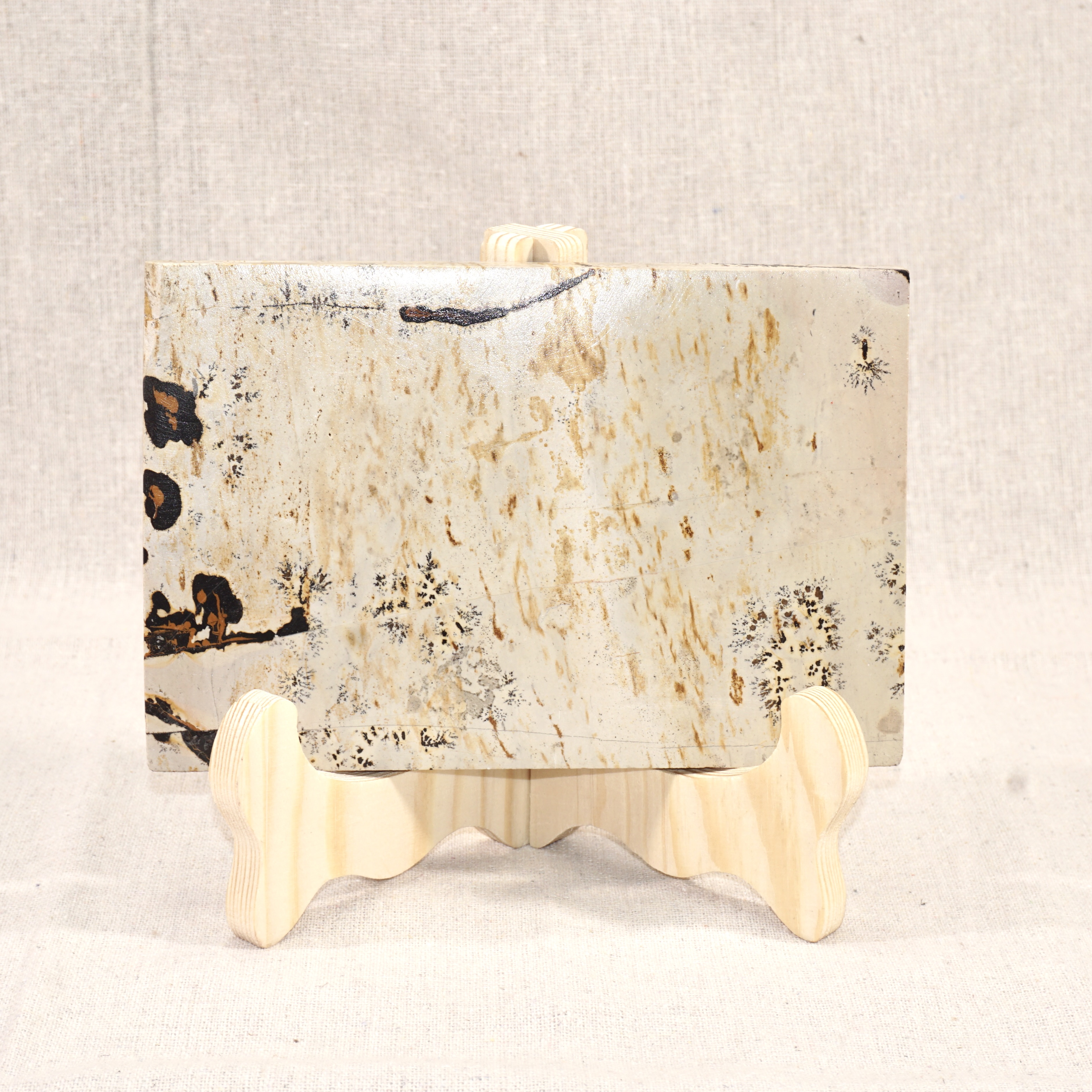 Picture Jasper Slice