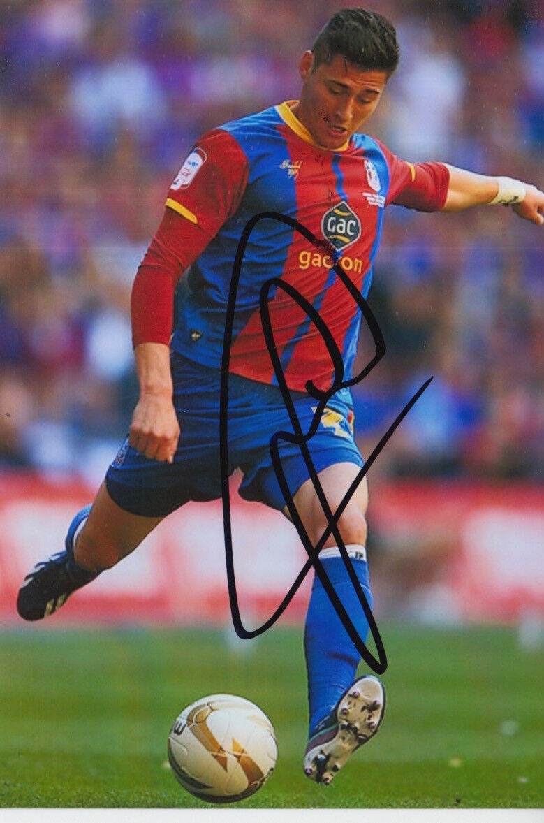 CRYSTAL PALACE HAND SIGNED JOEL WARD 6X4 Photo Poster painting 1.