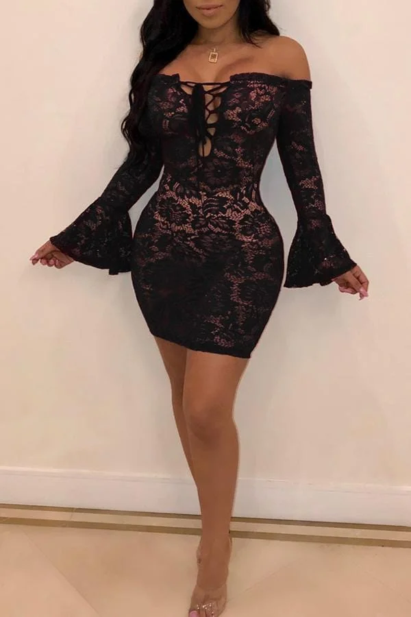 Sexy  See-through  Black Lace Mini Dress