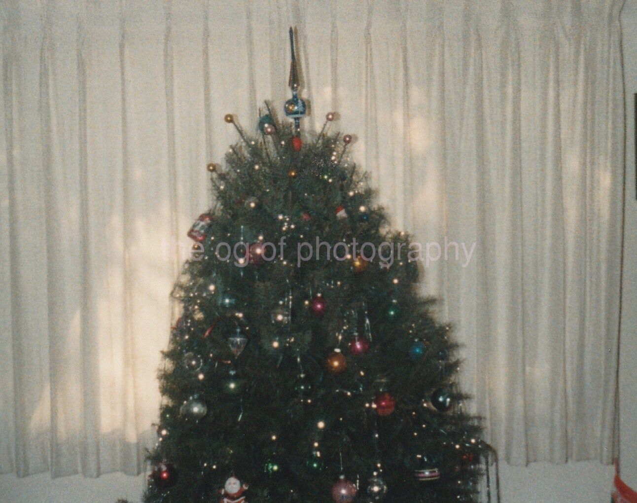 Existential Christmas Tree FOUND Photo Poster paintingGRAPH Color811 7 H