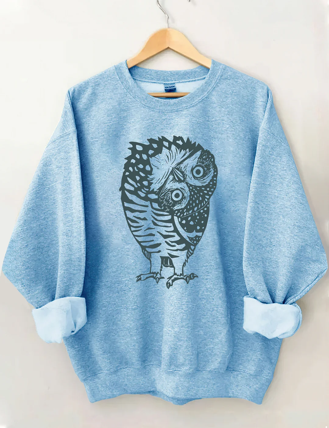 Funny Owl Sweatshirt
