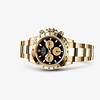 Rolex 116508 Daytona Intense black and champagne-colour - New