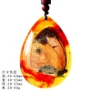 Insect Amber Pendant Natural Butterfly Specimen Insect Amber Necklace Children's Hanging Accessories