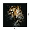uk.everydayedeals (Limited Stock)Paint By Number - Oil Painting -  Leopard (40*40Cm)