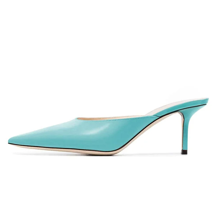 Blue Pointed Toe Stiletto Classic Mules Vdcoo