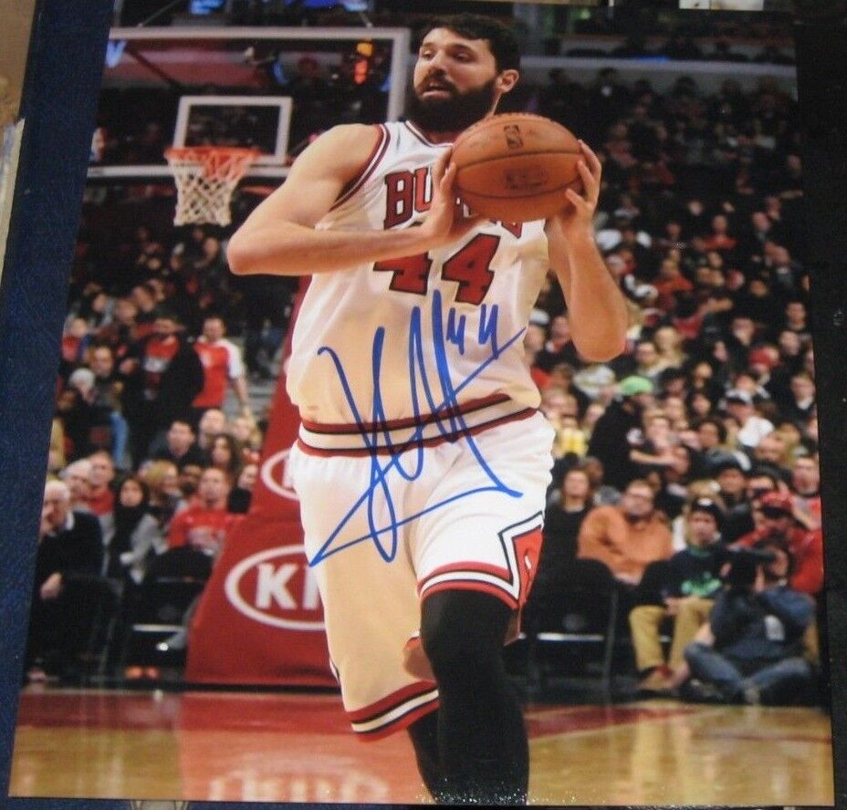 NIKOLA MIROTIC CHICAGO BULLS SIGNED AUTOGRAPHED 8X10 Photo Poster painting W/COA SR MONTENEGRO