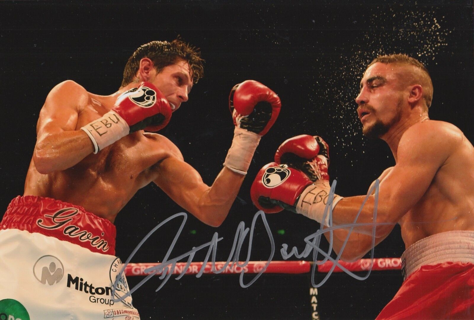 GAVIN MCDONNELL HAND SIGNED 12X8 BOXING Photo Poster painting 1.