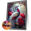 【2 pièces/paquet】-Paon-Peinture Diamant Ronde Complète-30*40CM