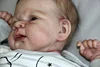 Babiesprincess Lifelike Reborn Baby Doll, Babiesprincess