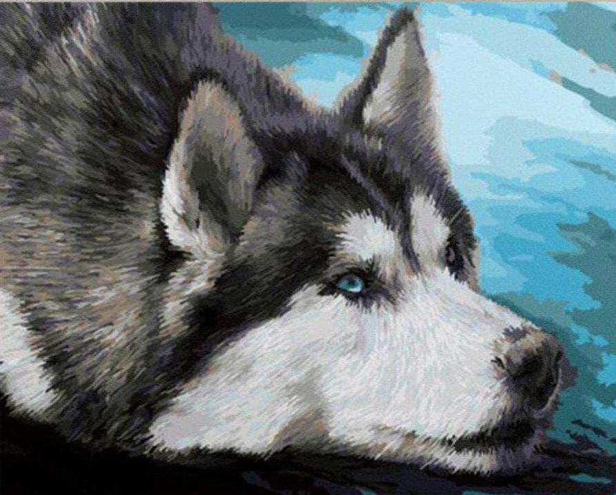 

Husky Portrait – Paint By Numbers - 40*50CM, 501 Original