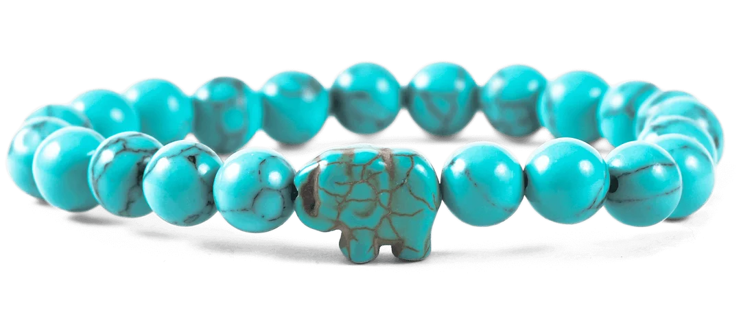 The Expedition Bracelet