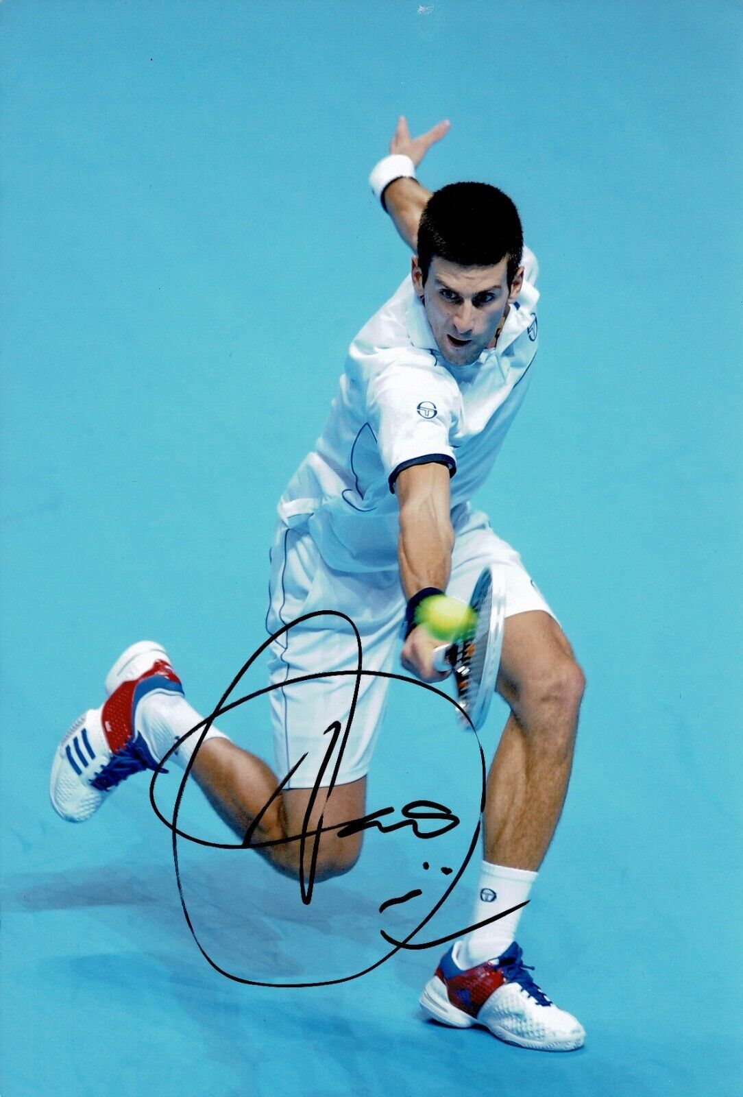 Novak Djokovic Signed 12X8 Photo Poster painting Genuine Autograph AFTAL COA (D)