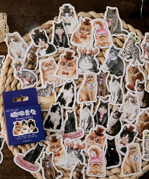 46 Pcs Mister Kitty Series Washi Stickers Set-Himinee.com