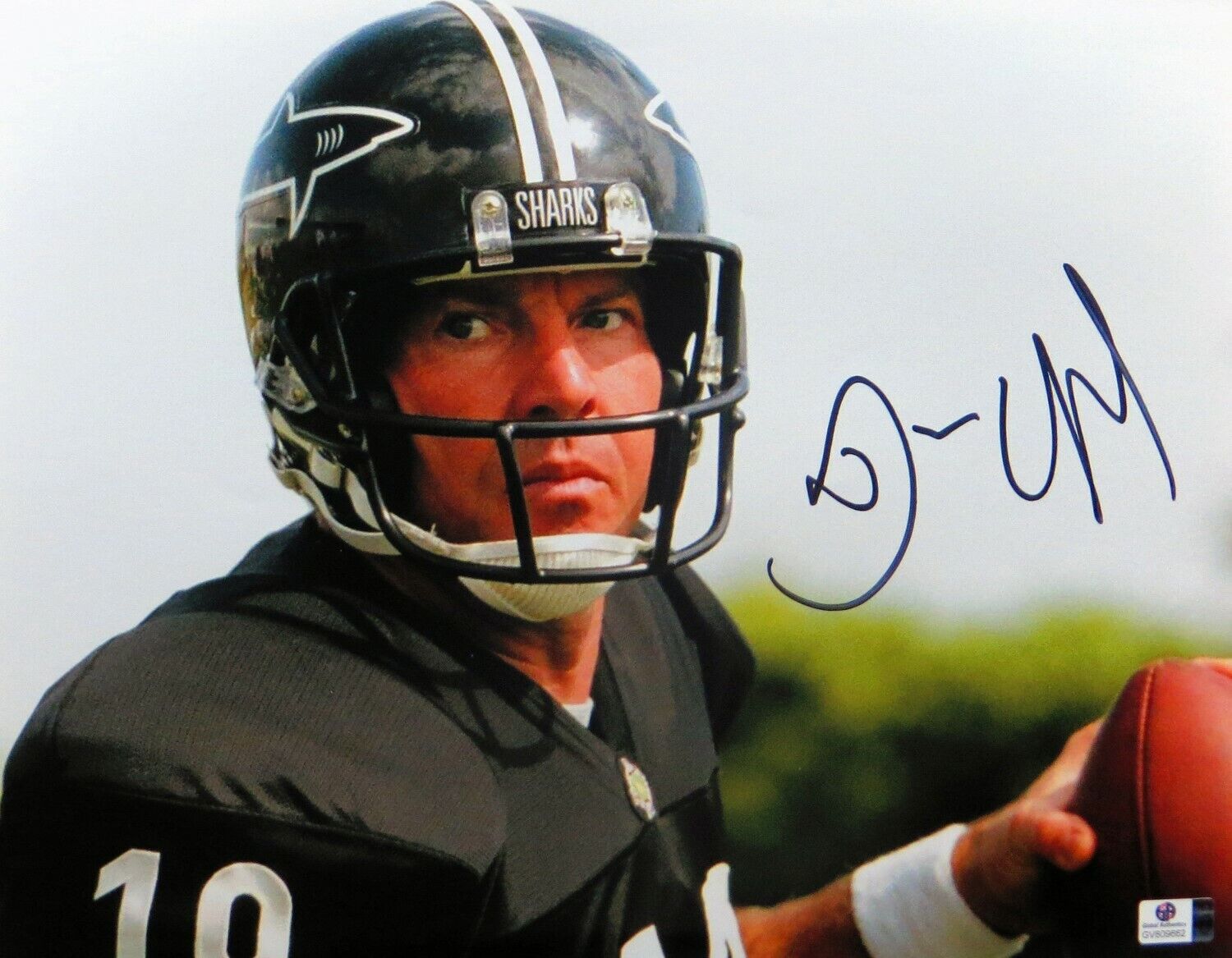 Dennis Quiad Signed Autographed 11X14 Photo Poster painting Any Given Sunday Passing GV809662