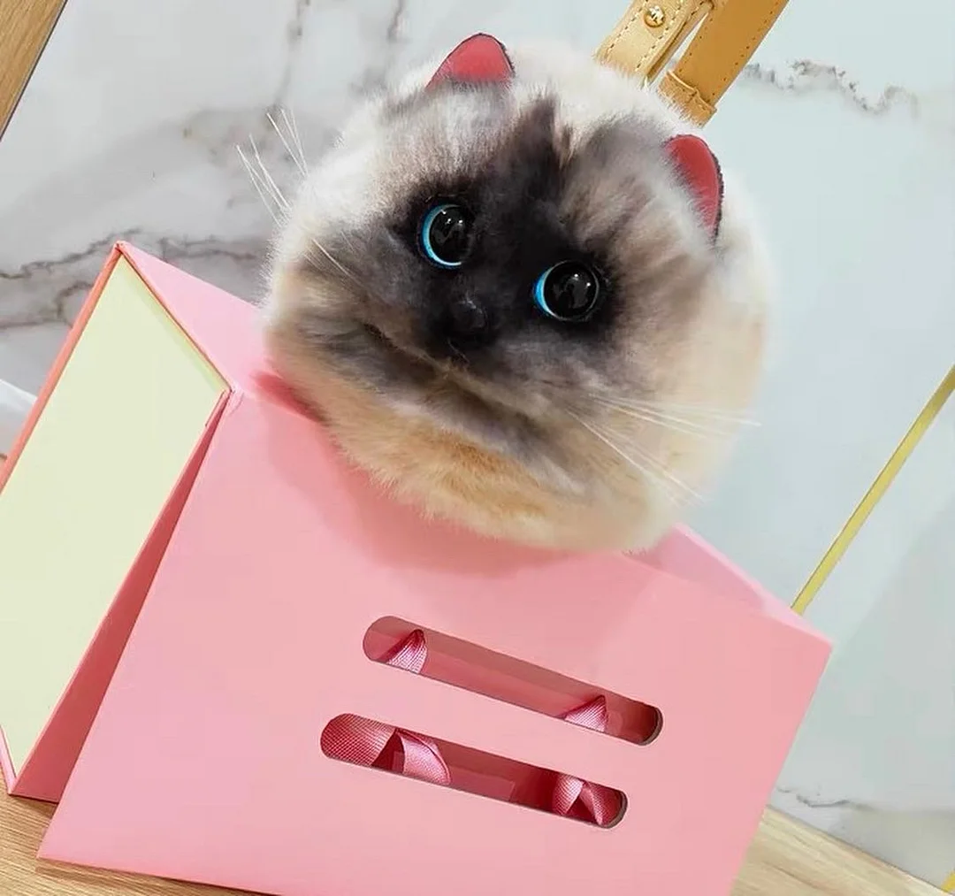 Fluffy Siamese Cat Bag Cat Purse