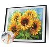 Painting By Numbers - DIY Sun Flower (40*50 CM)