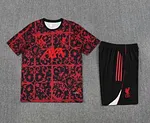 2025/2026 Liverpool FC Special Edition Jersey Set 1:1 Thai Quality Set