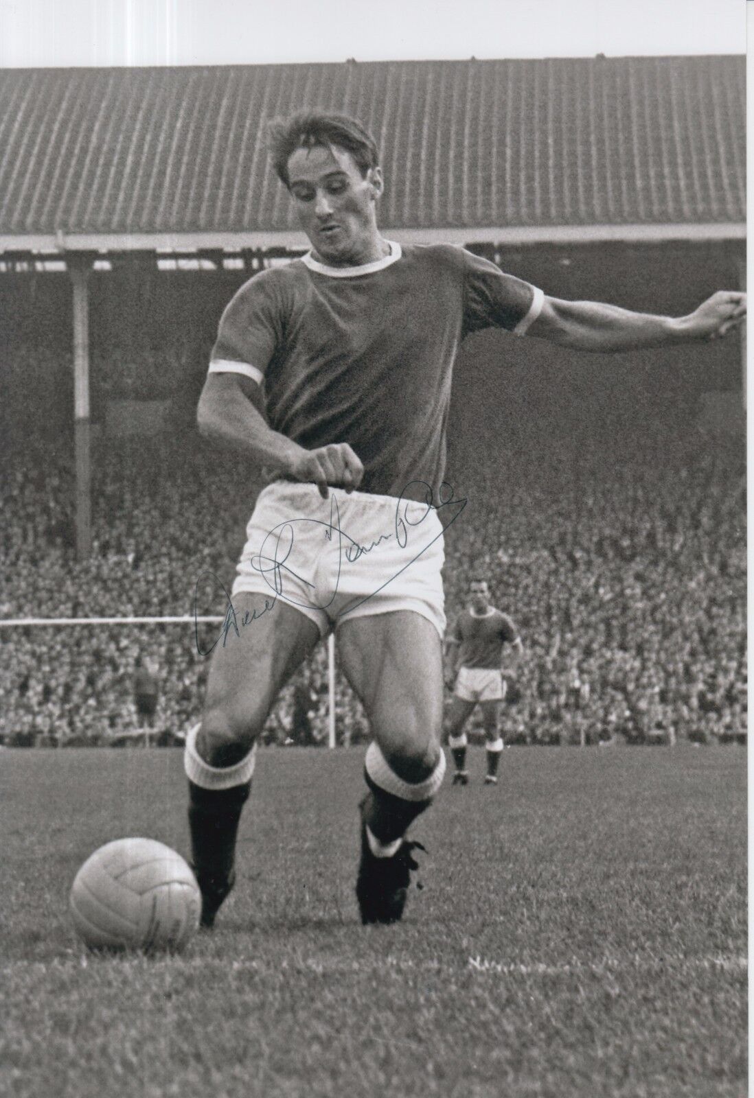 Derek Temple Hand Signed Everton 12x8 Photo Poster painting 1.