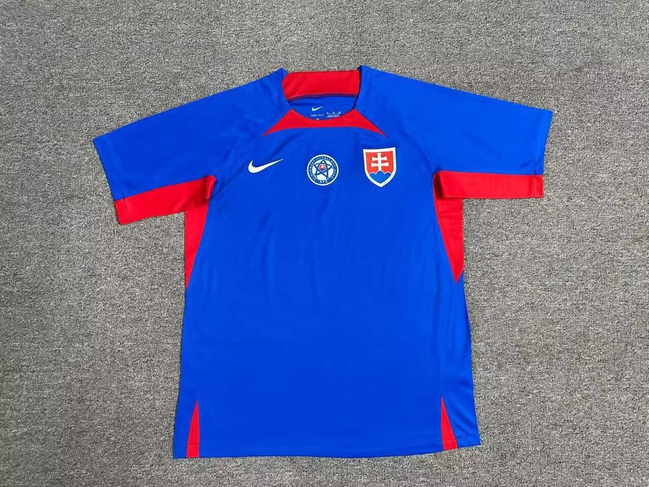 2024 Slovakia Home  Football Shirt 1:1 Thai Quality