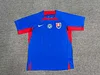 2024 Slovakia Home  Football Shirt 1:1 Thai Quality