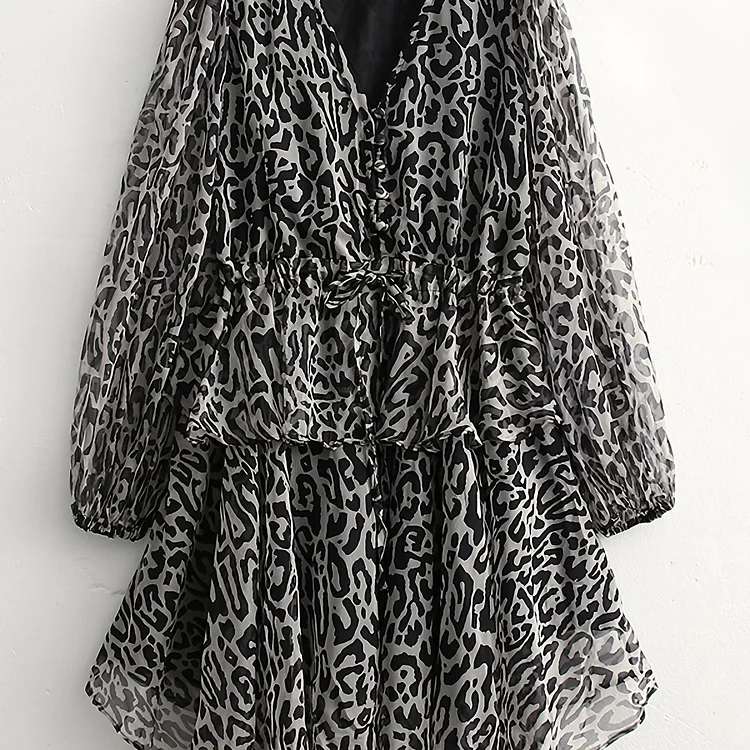 Leopard Print V Neck Elegant Dress, Sexy Long Sleeve Dress For Fall & Spring, Women's Clothing