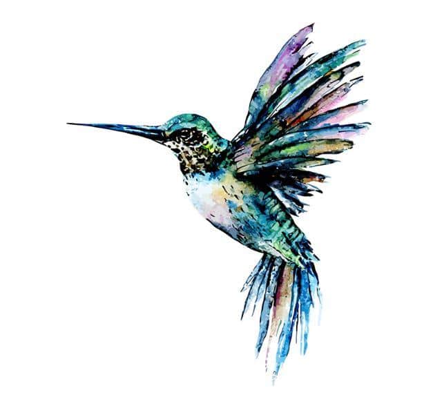 

Hummingbird In Blue Green Colors – Paint By Numbers - 40*50CM, 501 Original