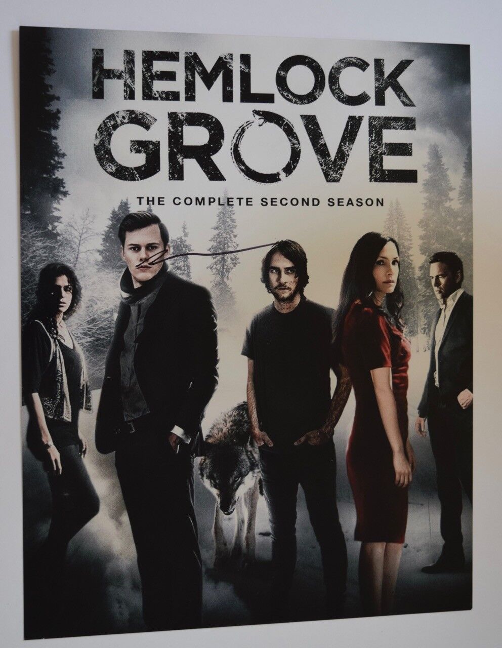 Brian McGreevy Signed Autographed 11x14 Photo Poster painting Hemlock Grove Creator COA VD