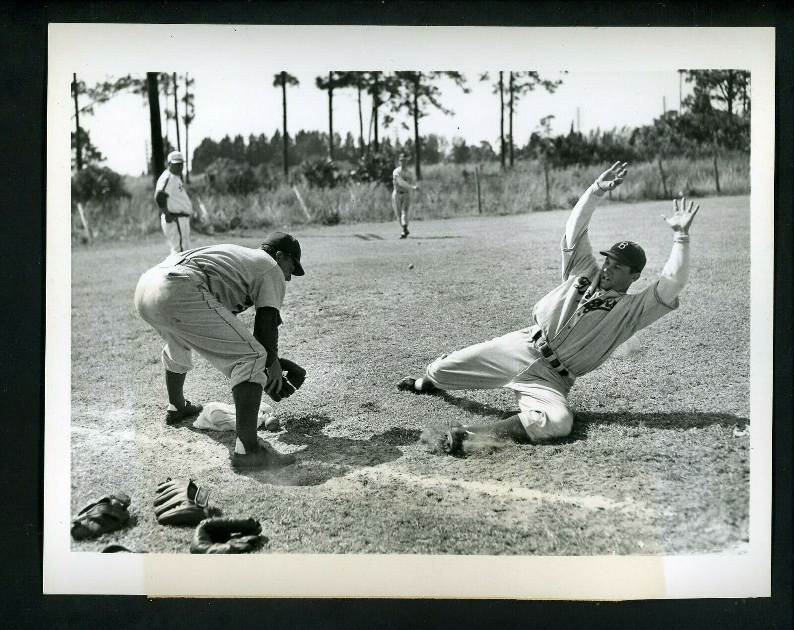 Pee Wee Reese & Buddy Hicks 1949 Press Photo Poster painting Brooklyn Dodgers at Vero Beach